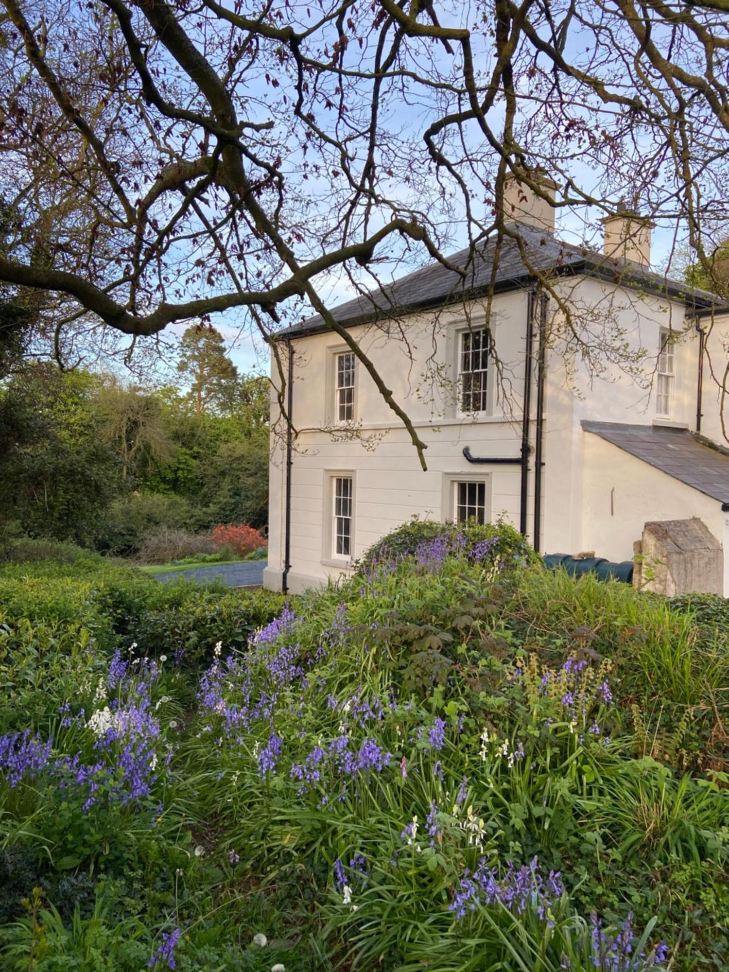 Ashville Georgian House Killinchy Extérieur photo