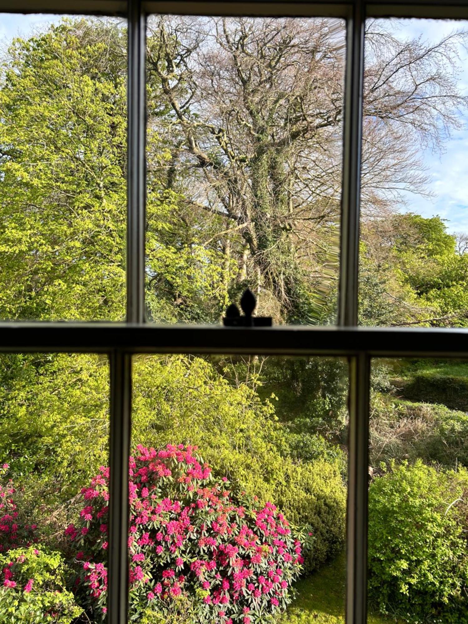 Ashville Georgian House Killinchy Extérieur photo
